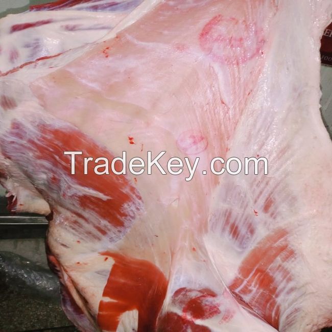 Buffalo Boneless Meat/ Frozen Beef ,cow meat,Goat beef meat for wholesale