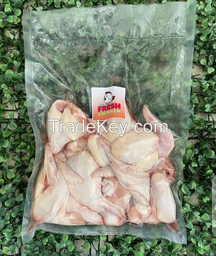 WHOLE FROZEN CHICKEN HALAL / Best Selling Premium Supplier Frozen Whole Chicken