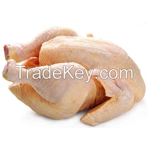 High frozen chicken drumstick thigh fillet wings for food grade HALAL vacuum packing products