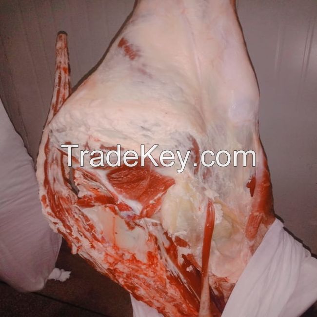 Buffalo Boneless Meat/ Frozen Beef ,cow meat,Goat beef meat for wholesale