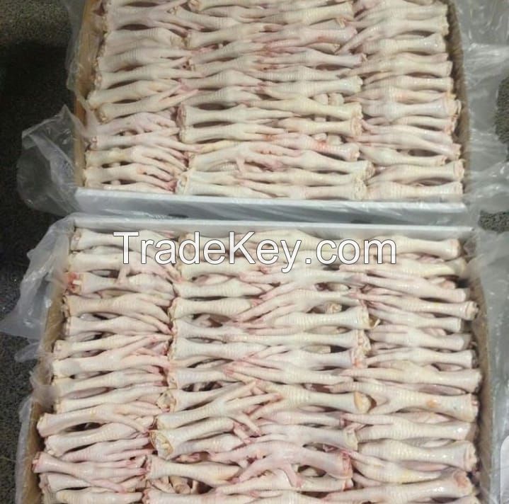 Wholesale Fresh Chicken Frozen Chicken paws For Good Price Export Frozen Chicken Feet