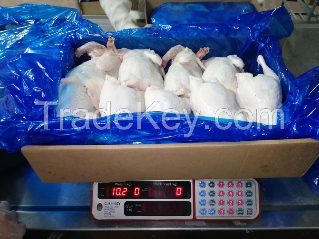 Best quality frozen whole chicken frozen whole chicken