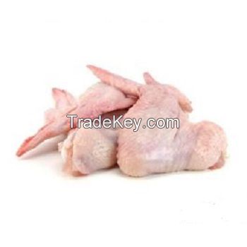 Wholesale Frozen Chicken Feet Export to China, Dubai, Iraq, Japan