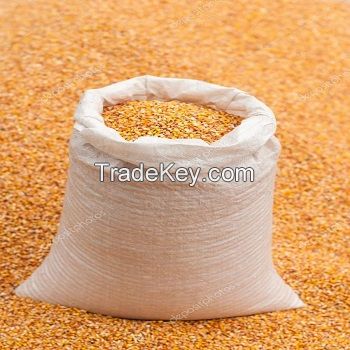 White Corn Maize Best Supplier