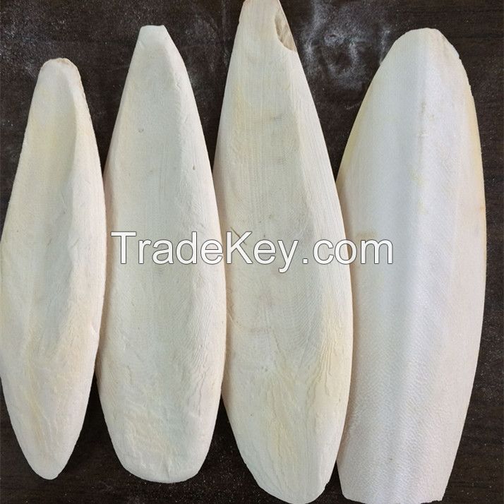 BULK CUTTLEBONE/ DRIED CUTTLEFISH BONE FOR PETS AND BIRDS FOR SALE