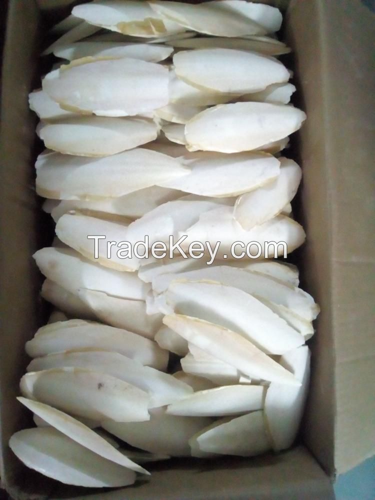 BULK CUTTLEBONE/ DRIED CUTTLEFISH BONE FOR PETS AND BIRDS FOR SALE