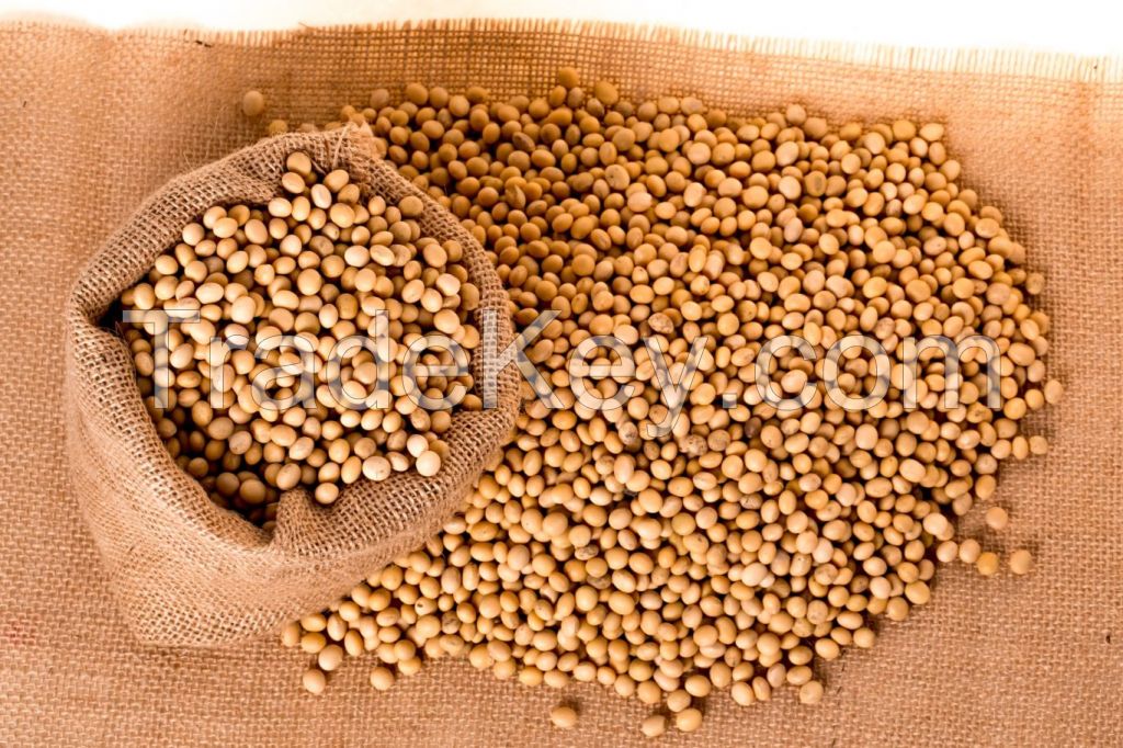 Top grade organic soybean