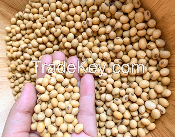 hot sale best quality china origin NON GMO soybean for export soya bean