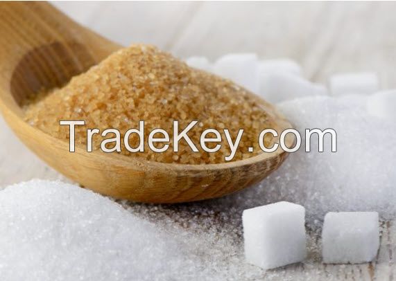 Manufacturer price White powder refined Sucrose/cane sugar 