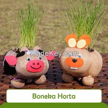 Horta Doll