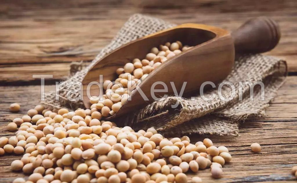 Soybeans 