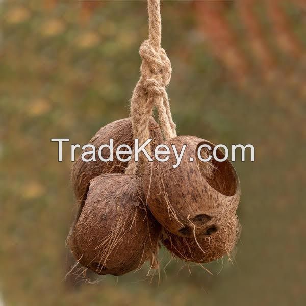 Coconut Shell Bird Feeder