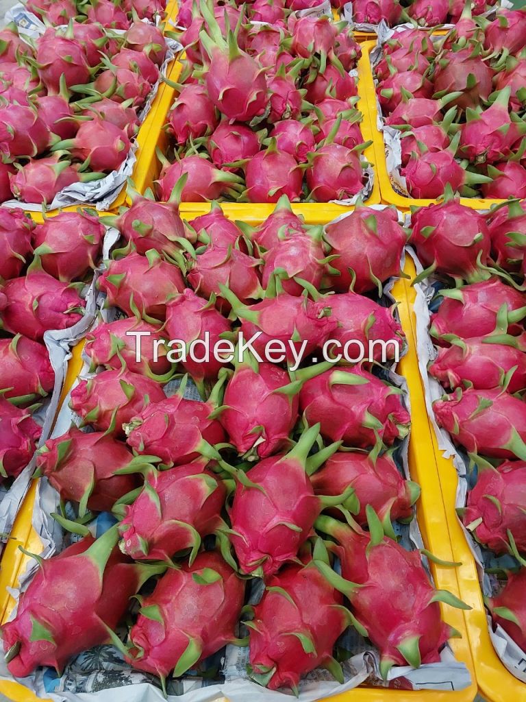 VietNamese Fresh Dragon Fruit - White Flesh - 5KG/CTN