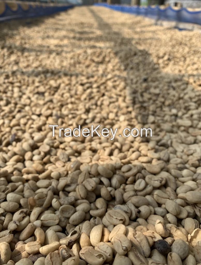 100% authentic coffee green beans, rosted coffee beans from Indonesia.