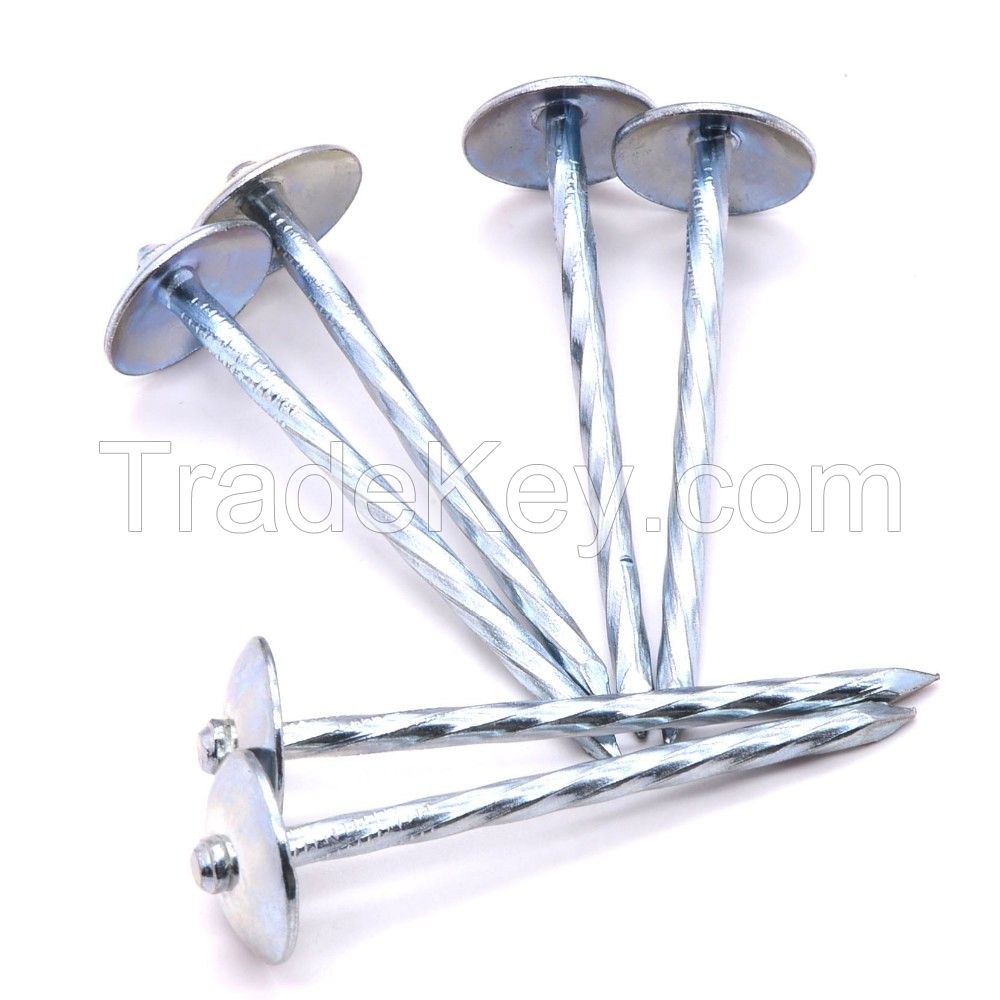 Galvanized Roofing Nail