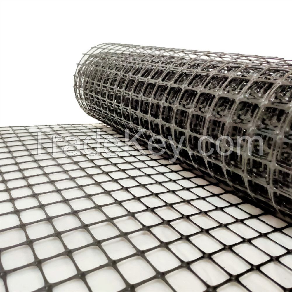 Geogrid