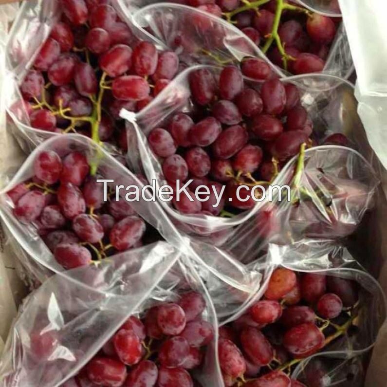 mature red globe fresh grapes premium style storage food organic package 248g/336g/680g/880g/1680g Glass Jars seedless grapes