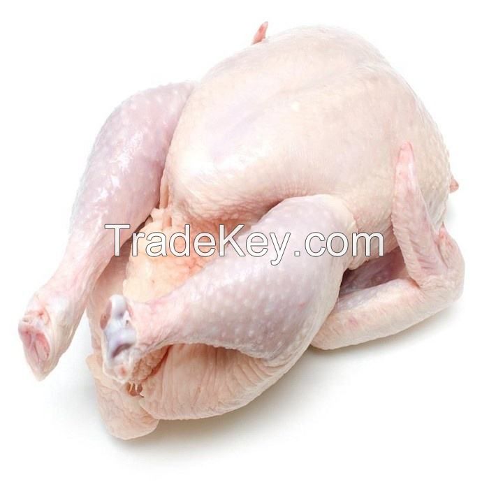 Freshly Made Frozen Chicken Skinless Boneless food grade 5kg pack 25tons 15days wholesale halal frozen whole chicken giblets