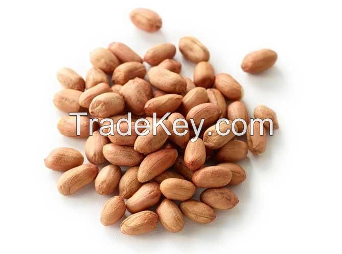 top quality dried 100% natural peanut snack food packing in sack bags  raw peanut groundnuts bold