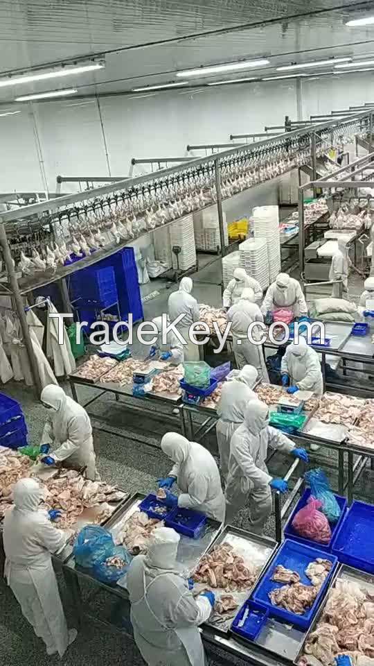 processed frozen chicken paws food grade 10kg carton 25tons 15days halal chicken feet frozen chicken paws