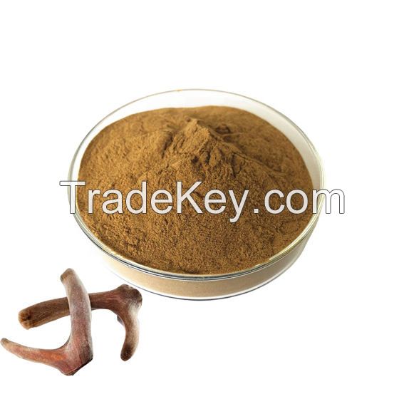 Deer Antler Extract Factory Direct Quality Natural 10:1 Deer Antler Extract Powder