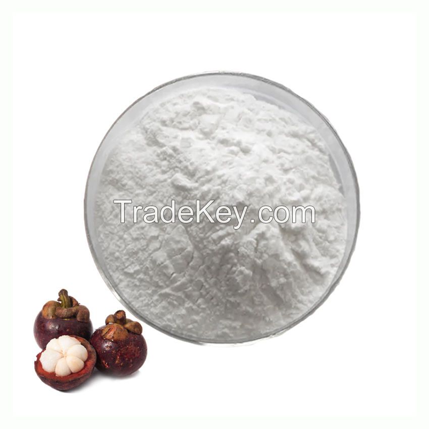 ISO certification Mangosteen Juice Powder 100% Natural Mangosteen Fruit Powder