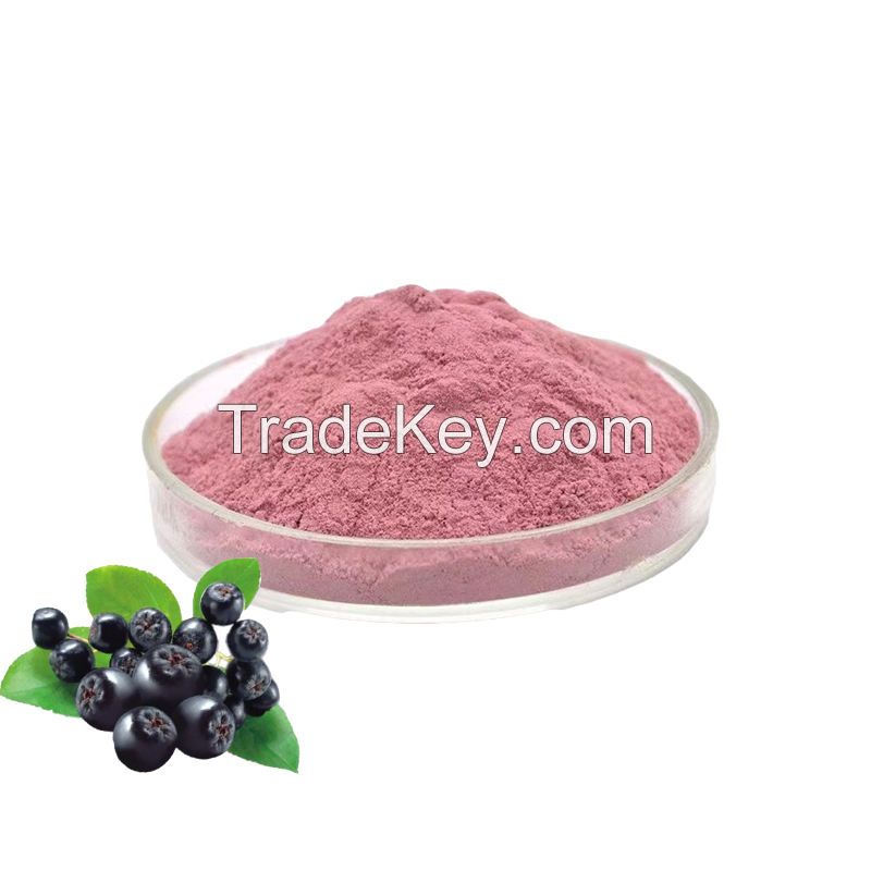 100% Organic Wild Cherry Berry Extract Polyphenol 25% Natural Wild Cherry Berry Powder