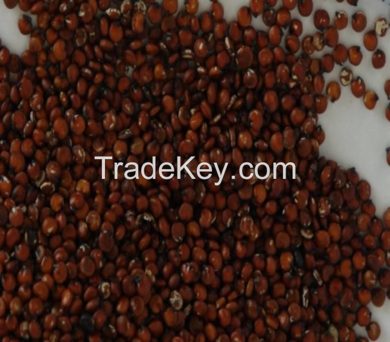 Tibetan Origin Plantation Directly Supplied Quinoa Competitive Price Wholesale Quinoa Seeds Max White Style Organic