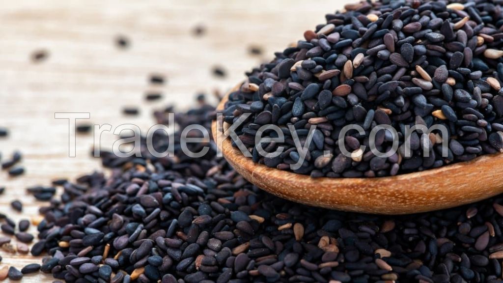 Bulk Stock Available of Lowest Price Agricultural Crop Food Grade Healthy Fresh Hulled Sesame Seeds with Fast Shipping Now