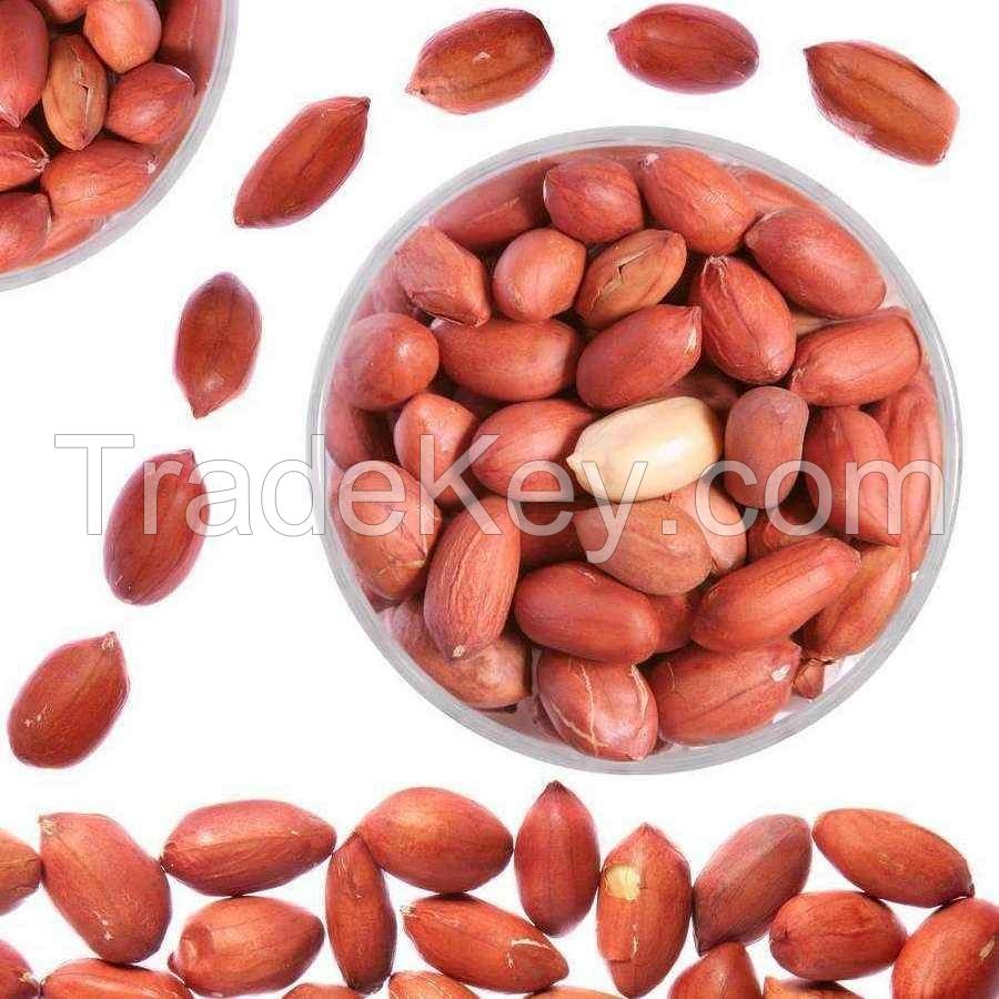 top quality dried 100% natural peanut snack food packing in sack bags  raw peanut groundnuts bold