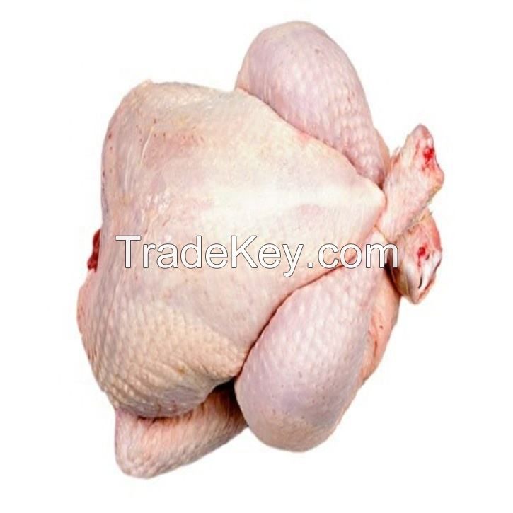 Freshly Made Frozen Chicken Skinless Boneless food grade 5kg pack 25tons 15days wholesale halal frozen whole chicken giblets