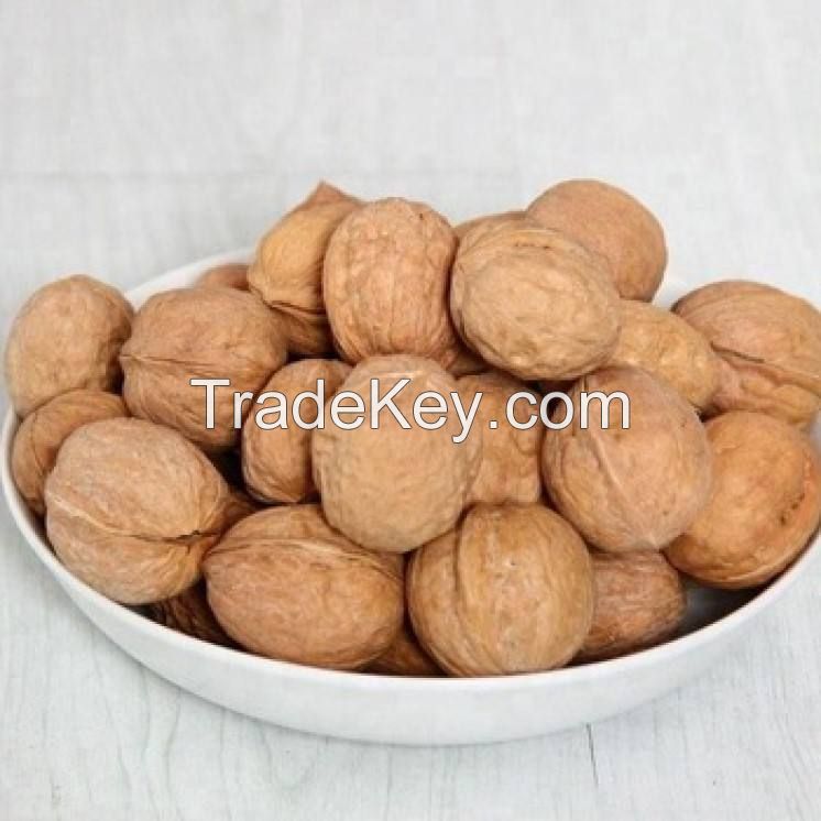 south africa best selling organic dried walnut nuts & kernels walnuts high quality walnut kernel chinese supplier low price