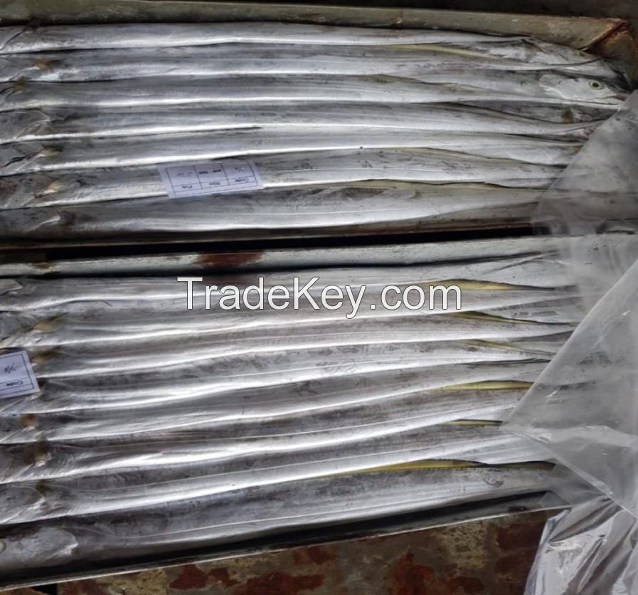 Frozen Ribbon Fish whole round Bulk Pack 10kg frozen ribbon fish fresh tilapia supplier block bulk style ribbon fish