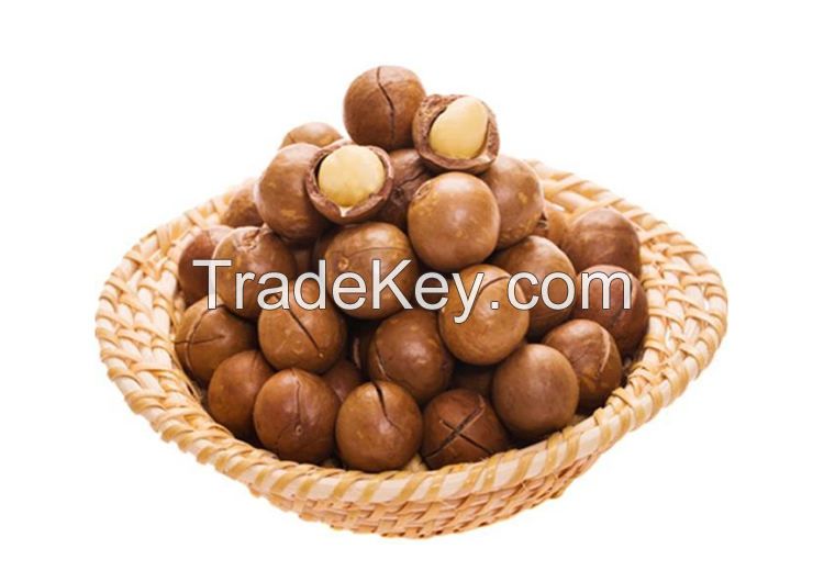 cosmetic grade hair care oil macadamia nuts oil 100 pure organic essential yellow JIN Top  macadamia kernel