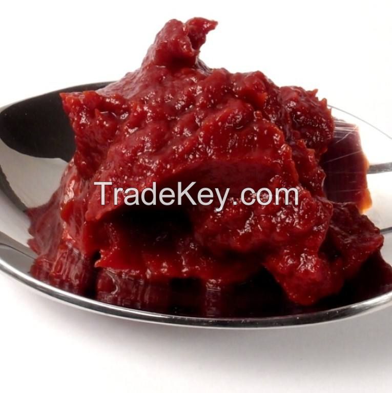 canned Tomato paste concentration cans for sale canned high fresh quality tin tomato paste manufacturer 2200g custom