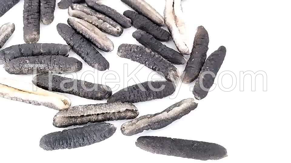 nutritious sea cucumber dry to regulating blood lipid white teat fish dried sea cucumber Packaging Organic Feature Shelf Origin