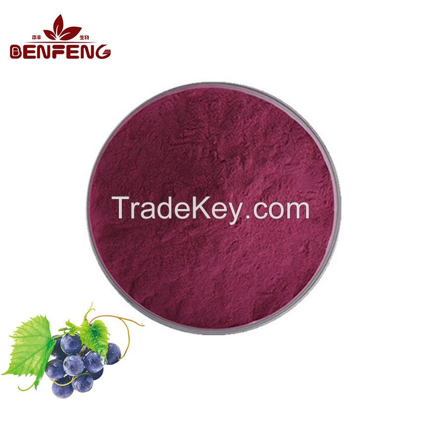 Low Price Promotion Fruit Powder Grape Juice Powder High Quality Grape Powder