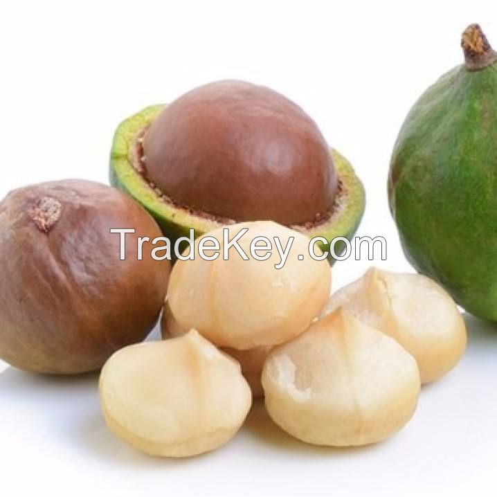 cosmetic grade hair care oil macadamia nuts oil 100 pure organic essential yellow JIN Top  macadamia kernel