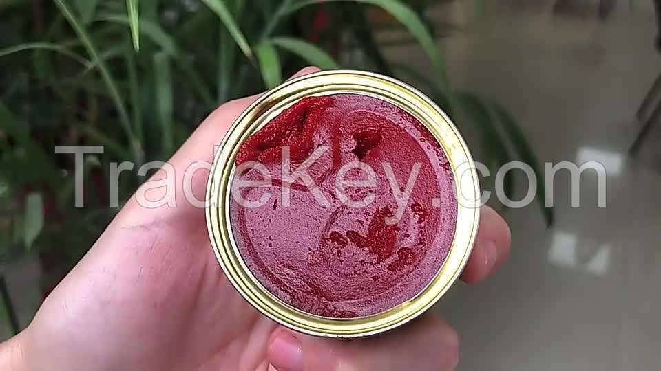 canned Tomato paste concentration cans for sale canned high fresh quality tin tomato paste manufacturer 2200g custom
