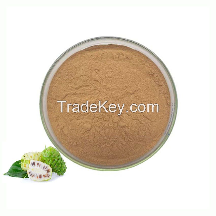 Nutritional Supplement Noni Fruit Extract Powder Natural Raw Material Noni Fruit Extract