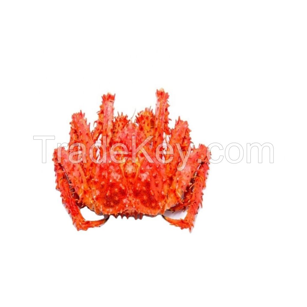 frozen breaded crab claw for food wholesale frozen king crab 500-800pcs/carton fresh supplies crab legs