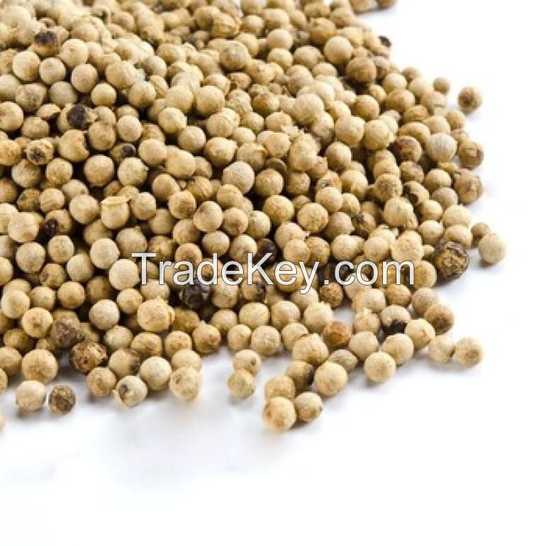 bulk organic black and white pepper for cheap export price sales sarawak black pepper black pepper seeds for sale organic bulk