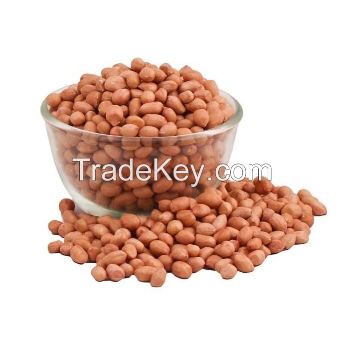 south africa dried top quality roasted cheap wholesale hazelnut roasting for sale 13-15mm 14-16mm blanched hazelnuts hazelnuts