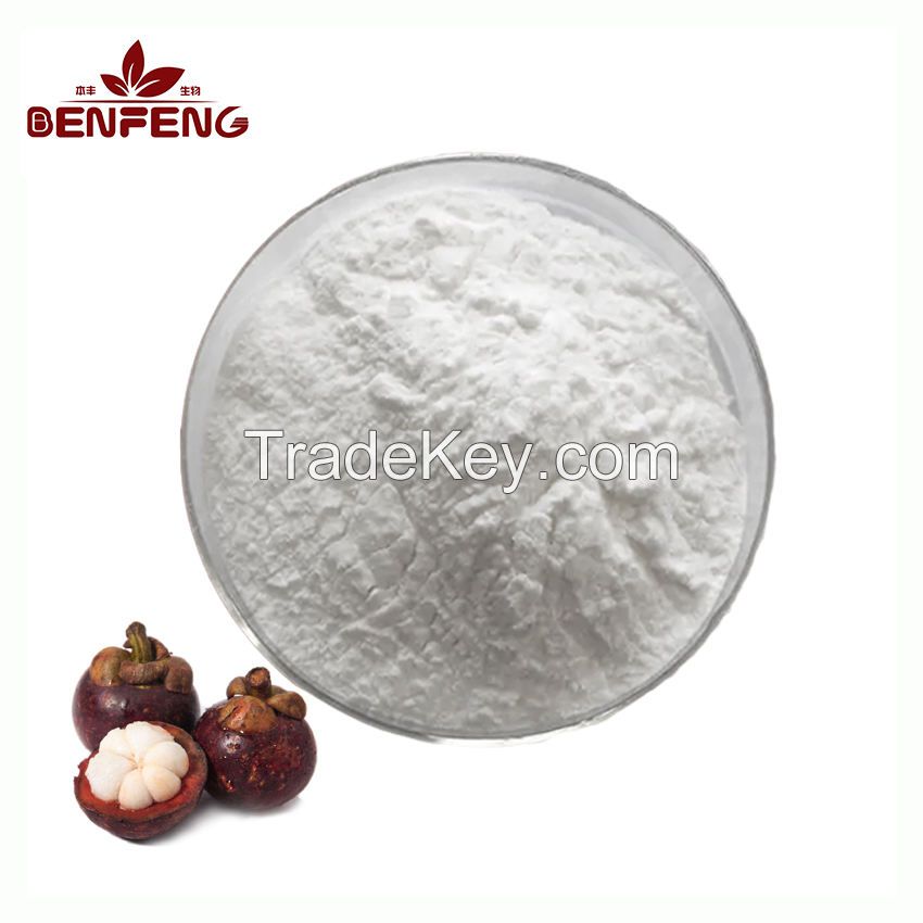 ISO certification Mangosteen Juice Powder 100% Natural Mangosteen Fruit Powder