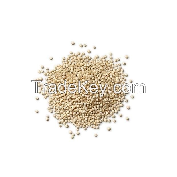 Best Price Organic Seeds White Quinoa Grains Health care Grains Bulk Stock Available With Customized Packing