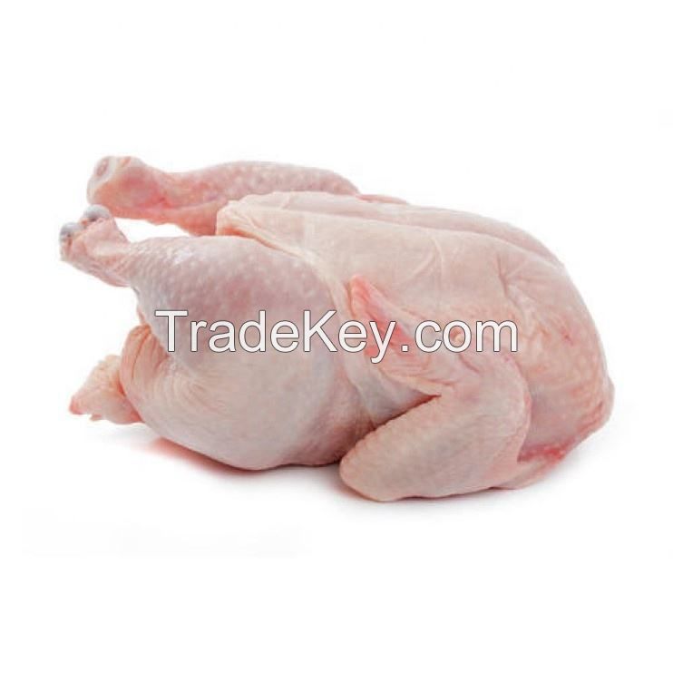 Freshly Made Frozen Chicken Skinless Boneless food grade 5kg pack 25tons 15days wholesale halal frozen whole chicken giblets