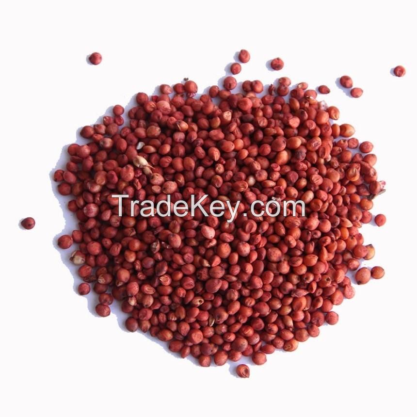 wholesale specification of red sorghum organic seeds packing for sale Sorghum best selling premium wholesale bird feed