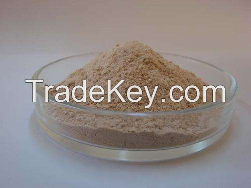 Supply Food Grade Sunflower Lecithin Powder Sunflower Lecithin