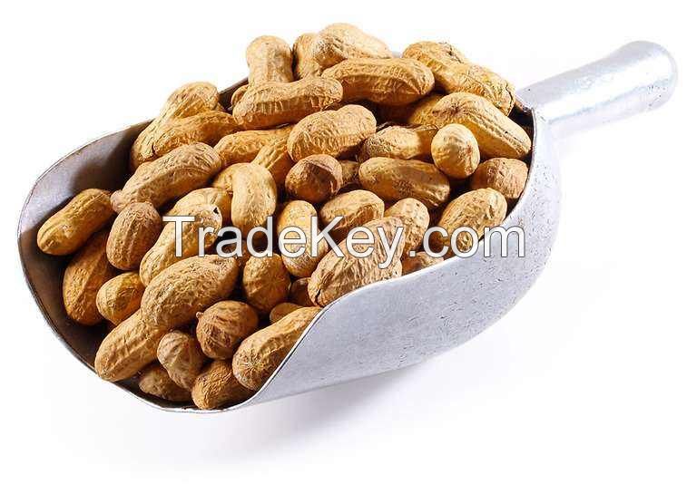 100% natural color rich nutrition peanuts export packing boxes Iqf frozen bulk style time storage packaging food peanut