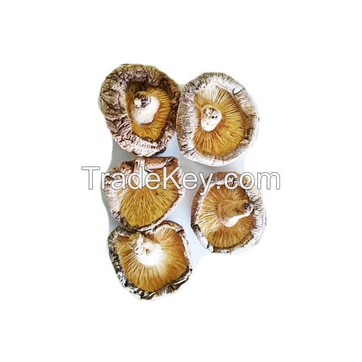 oyster mushroom superior quality ad dried shiitake  magic 3-5cm dried mushroom fresh white button mushroom